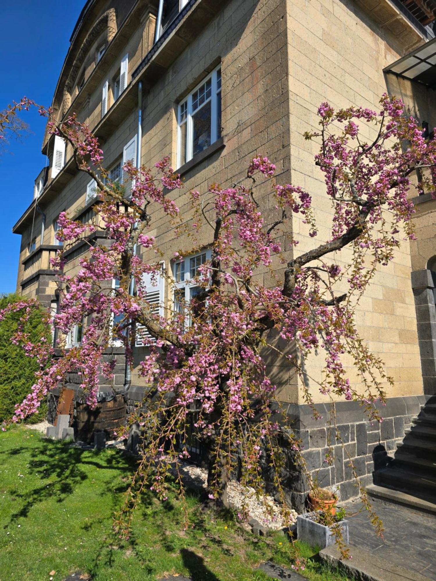 Villa Valerius Kottenheim Esterno foto